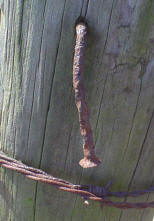 spijker in paal